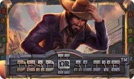 Limitless Casino offre il gioco online Dead or Alive II