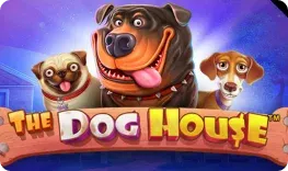 Limitless Casino offre il gioco online The Dog House